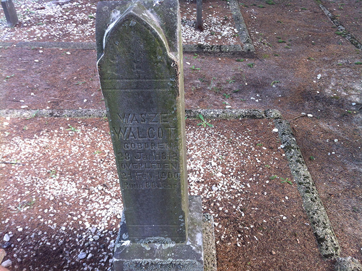 graves_walcot_wasze.jpg